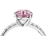 White gold Fancy Pink Round Cut Diamond Solitaire Pavé Engagement Ring with Round Band and Prong Setting_16
