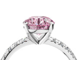 White gold Fancy Pink Round Cut Diamond Solitaire Pavé Engagement Ring with Round Band and Prong Setting_82