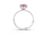 White gold Fancy Pink Round Cut Diamond Solitaire Ring with Round  Pavé Band and Prong Setting_79