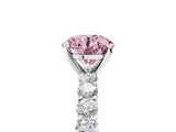 White gold Fancy Pink Round Cut Diamond Solitaire Ring with Shared Prong Pavé Band and Four-Prong Setting_50