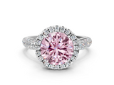 White gold Fancy Pink Round  Cut Halo Pave Band Four-Prong Setting Ring