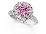 White gold Fancy Pink Round  Cut Halo Pave Band Four-Prong Setting Ring_1
