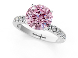 White gold Fancy Pink Round  Diamond Pavé Band Solitaire with Four-Prong Setting_1