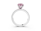 White gold Fancy Pink Round  Diamond Pavé Band Solitaire with Four-Prong Setting_3