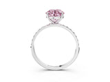 White gold Fancy Pink Round  Diamond Pavé Band with Six-Prong Setting_30