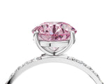 White gold Fancy Pink Round  Diamond Pavé Band with Six-Prong Setting_31
