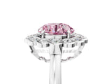 White gold Fancy Pink Round  Halo Cluster Diamond Engagement Ring with Solitaire Band and Prong Setting_70