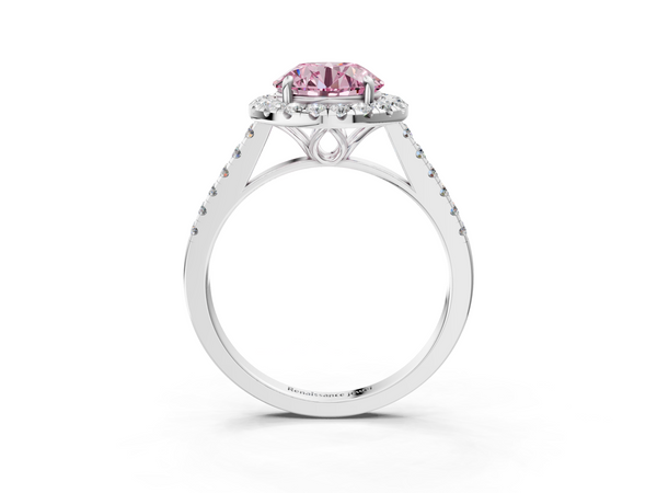 Platinum Fancy Pink Round  Halo Pavé Diamond Engagement Ring with Four-Prong Setting