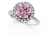 White gold Fancy Pink Round  Halo Round Diamond Pavé Band Four-Prong Ring_4