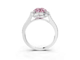 White gold Fancy Pink Round  Halo Round Diamond Pave Band with Four-Prong Setting_53