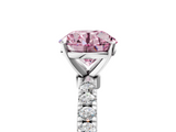 White gold Fancy Pink Round  Solitaire Diamond Pavé Band with Four-Prong Setting_5