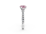 White gold Fancy Pink Round  Solitaire Diamond with Pavé Band and Four-Prong Setting_2