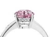 White gold Fancy Pink Round  Solitaire Pavé Band Prong Setting Ring_4