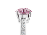 White gold Fancy Pink Round  Solitaire Pavé Band Prong Setting Ring_5