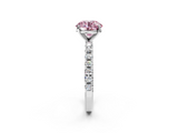 White gold Fancy Pink Round  Solitaire Pavé Band with Four-Prong Setting_2