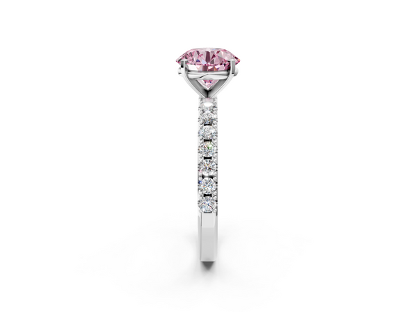 White gold Fancy Pink Round Cut Diamond Solitaire Pavé Band with Four-Prong Setting