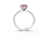 White gold Fancy Pink Round  Solitaire Pavé Band with Four-Prong Setting_3