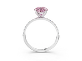 White gold Fancy Pink Round  Solitaire Pavé Diamond Engagement Ring with Four-Prong Setting_3