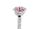 White gold Fancy Pink Round  Solitaire Pavé Diamond Engagement Ring with Four-Prong Setting_5