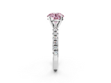 White gold Fancy Pink Round  Solitaire Pave Diamond Engagement Ring with Four-Prong Setting_2