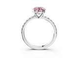 White gold Fancy Pink Round  Solitaire Pave Diamond Engagement Ring with Four-Prong Setting_3