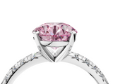 White gold Fancy Pink Round  Solitaire Pave Diamond Engagement Ring with Four-Prong Setting_4