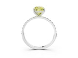 White gold Fancy Yellow Cushion Cut Diamond Solitaire Ring with Round  Pavé Band and Prong Setting_132