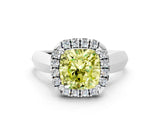 White gold Fancy Yellow Cushion  Cut Halo Solitaire Engagement Ring with Square Band and Four-Prong Setting_138