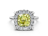 White gold Fancy Yellow Cushion  Diamond Cluster Halo Solitaire with Four-Prong Setting_105