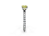 White gold Fancy Yellow Cushion  Diamond Pavé Band Solitaire with Four-Prong Setting_220