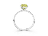 White gold Fancy Yellow Cushion  Diamond Pavé Band with Six-Prong Setting_30
