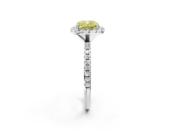 White gold Fancy Yellow Cushion  Halo Round Diamond Pavé Band Four-Prong Ring