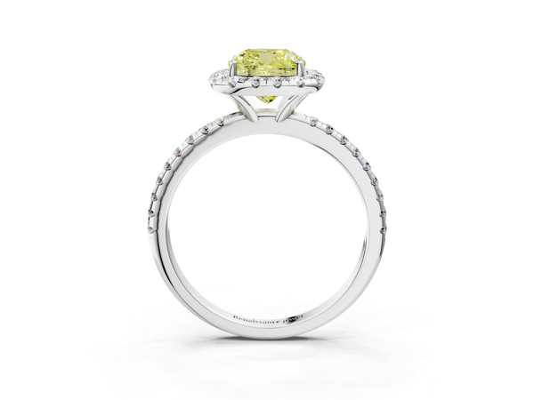 White gold Fancy Yellow Cushion  Halo Round Diamond Pavé Band Four-Prong Ring