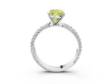White gold Fancy Yellow Cushion  Solitaire with Pave Band and Four-Prong Setting_6
