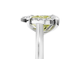 White gold Fancy Yellow Heart  Diamond Cluster Halo Solitaire with Four-Prong Setting_94