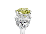 White gold Fancy Yellow Heart  Diamond Cluster Leaf Design Ring with Prong Setting_72