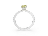 White gold Fancy Yellow Marquise  Brilliant Pavé Band Solitaire with Four-Prong Setting_20