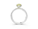 White gold Fancy Yellow Marquise  Cut Diamond Pavé Band with Four-Prong Setting_28
