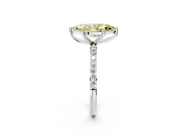 White gold Fancy Yellow Marquise  Diamond Pavé Band with Six-Prong Setting