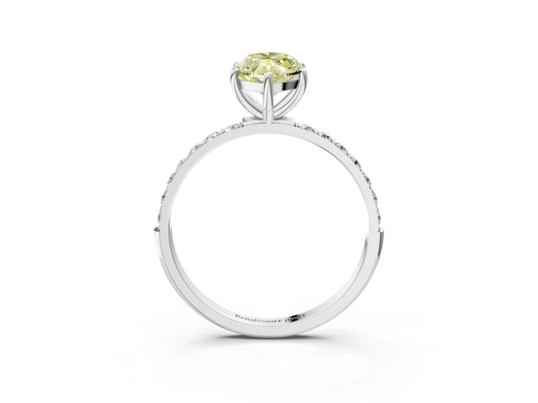 White gold Fancy Yellow Marquise  Diamond Pavé Band with Six-Prong Setting
