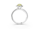 White gold Fancy Yellow Marquise  Halo Round Diamond Pavé Band Four-Prong Ring_6