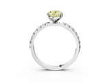 White gold Fancy Yellow Oval  Solitaire Pavé Band with Four-Prong Setting_158