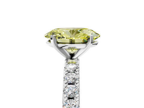 White gold Fancy Yellow Oval  Solitaire Pavé Band with Four-Prong Setting_161