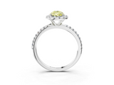 White gold Fancy Yellow Pear  Halo Round Diamond Pavé Band Four-Prong Ring_6