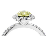 White gold Fancy Yellow Pear  Halo Round Diamond Pavé Band Four-Prong Ring_7