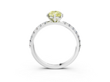 White gold Fancy Yellow Pear  Solitaire Pavé Band with Four-Prong Setting_182