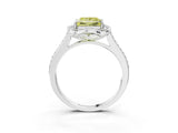 White gold Fancy Yellow Princess  Halo Round Diamond Pave Band with Four-Prong Setting_58