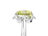 White gold Fancy Yellow Radiant  Halo Diamond Ring with Round Cluster Setting, Solitaire Band, and Four-Prong Setting_54