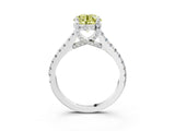 White gold Fancy Yellow Round  Brilliant Diamond Solitaire with Pavé Band and Four-Prong Setting 3