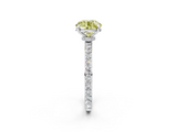 White gold Fancy Yellow Round  Brilliant Pavé Band Solitaire with Four-Prong Setting_19